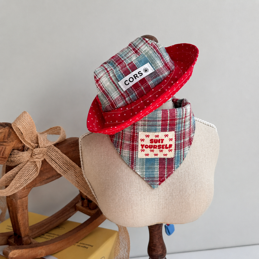 Denim‑Style Pet Hat & Scarf Set